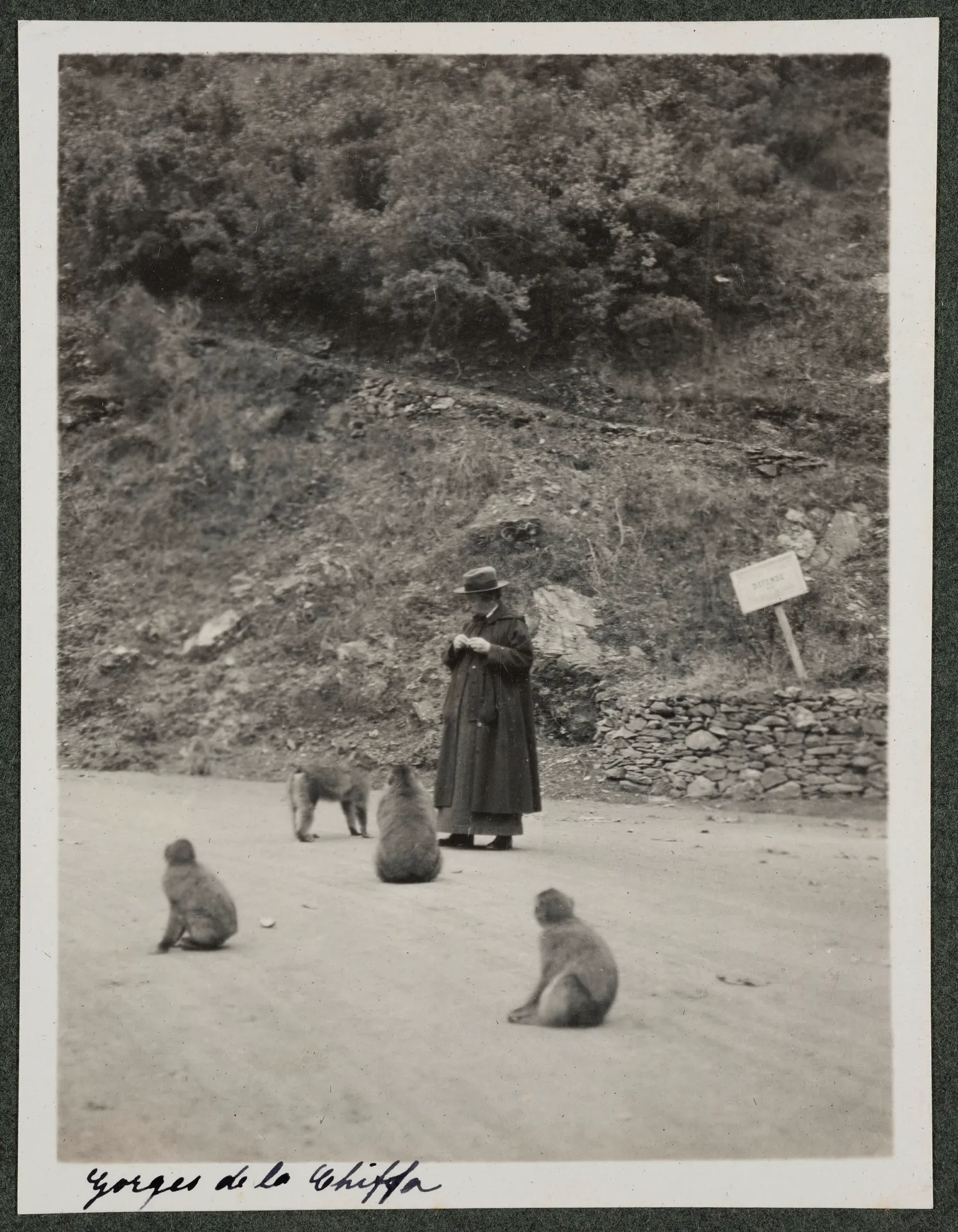 Ottilie W. Roederstein beim Affenfüttern in den Gorges de la Chiffa, Algerien