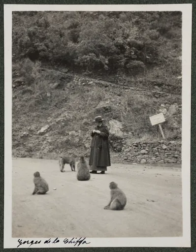 Ottilie W. Roederstein beim Affenfüttern in den Gorges de la Chiffa, Algerien