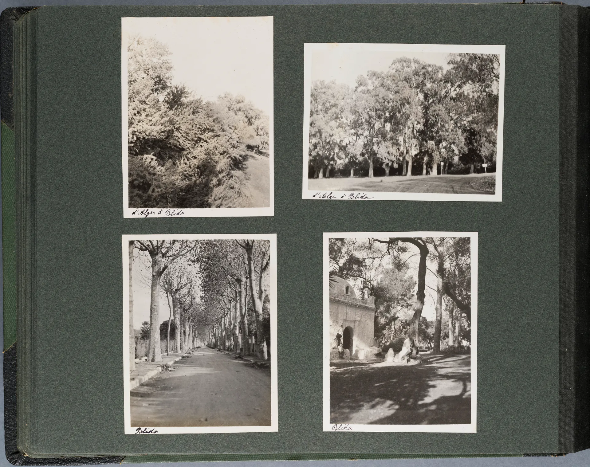 Fotoalbum: Tunisie - Algérie 22 Nov. - 22 Déc. 1913 (Bd. 2), Seite 44