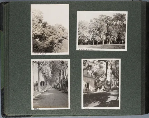 Fotoalbum: Tunisie - Algérie 22 Nov. - 22 Déc. 1913 (Bd. 2), Seite 44