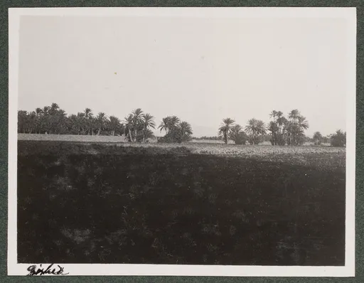 Landschaft in Biskra