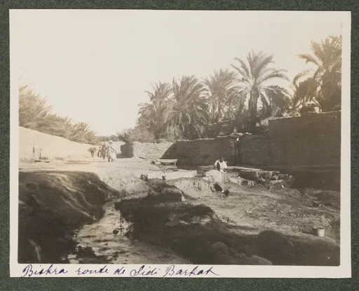 Biskra, Weg nach Sidi Barkat