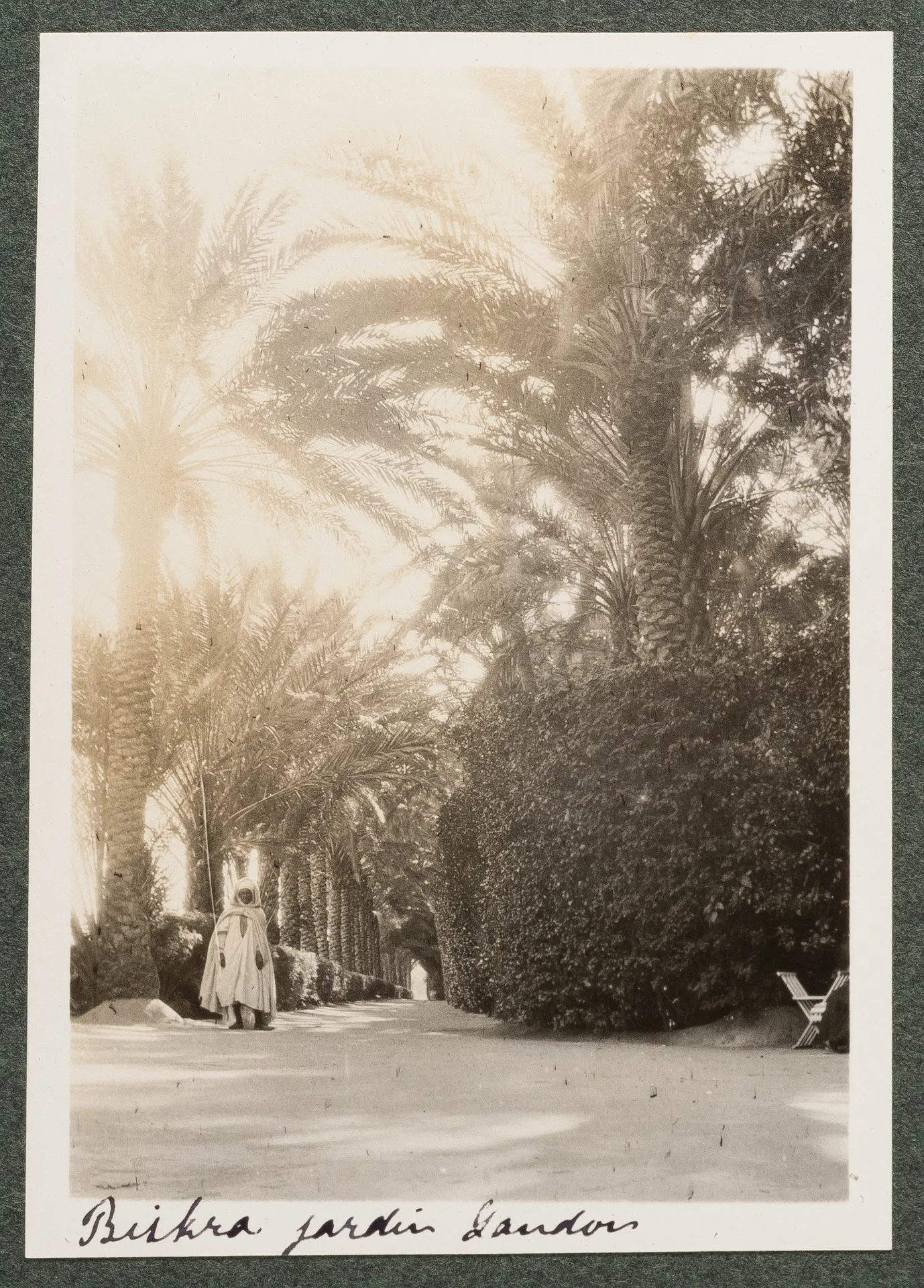 Der Landon Garten in Biskra