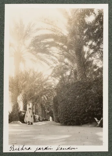 Der Landon Garten in Biskra