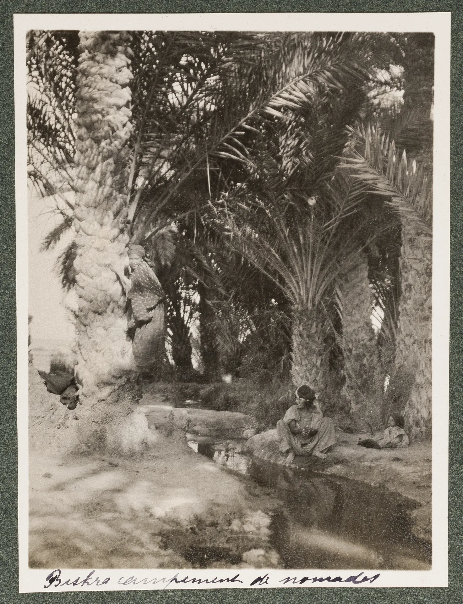 Nomadenlager in Biskra