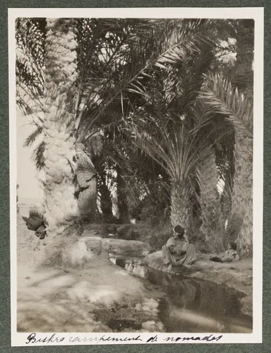 Nomadenlager in Biskra