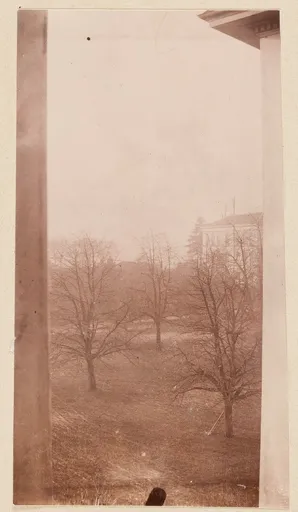 Blick in einen Garten