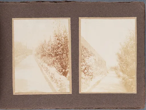 Fotoalbum: Hofheim Sommer 1913, Seite 4