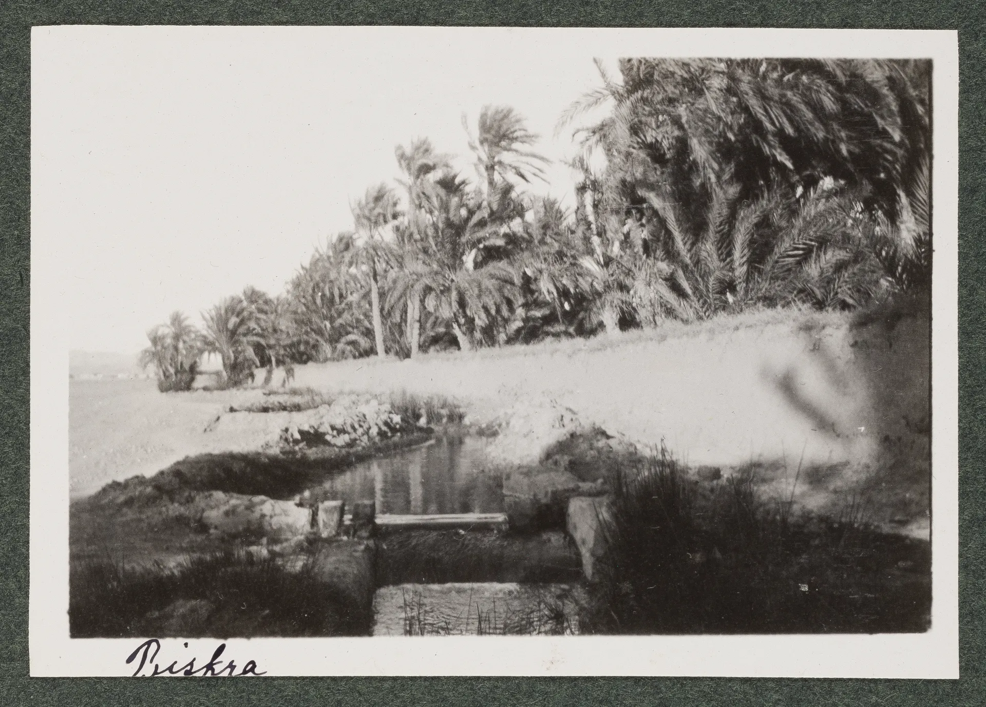 Landschaft in Biskra