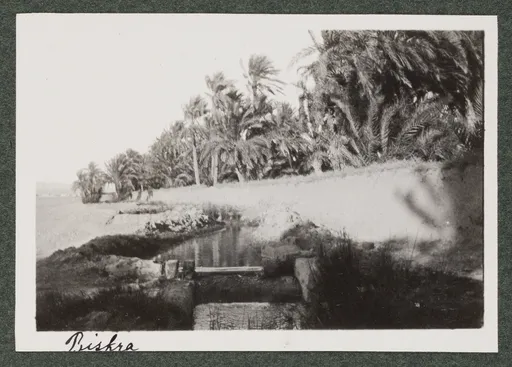 Landschaft in Biskra