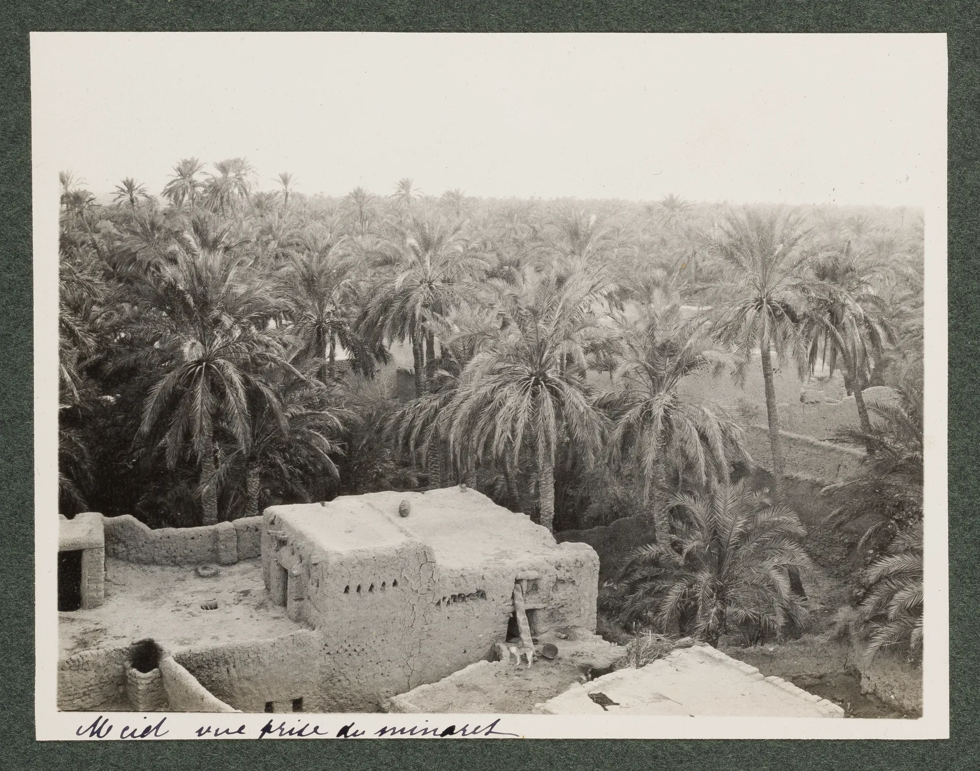 Ansicht von M'Cid, Biskra, von einem Minarett ausgesehen