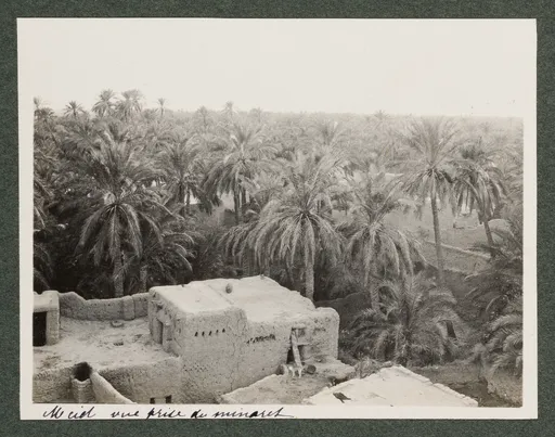 Ansicht von M'Cid, Biskra, von einem Minarett ausgesehen