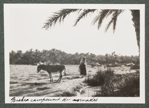 Nomadenlager in Biskra