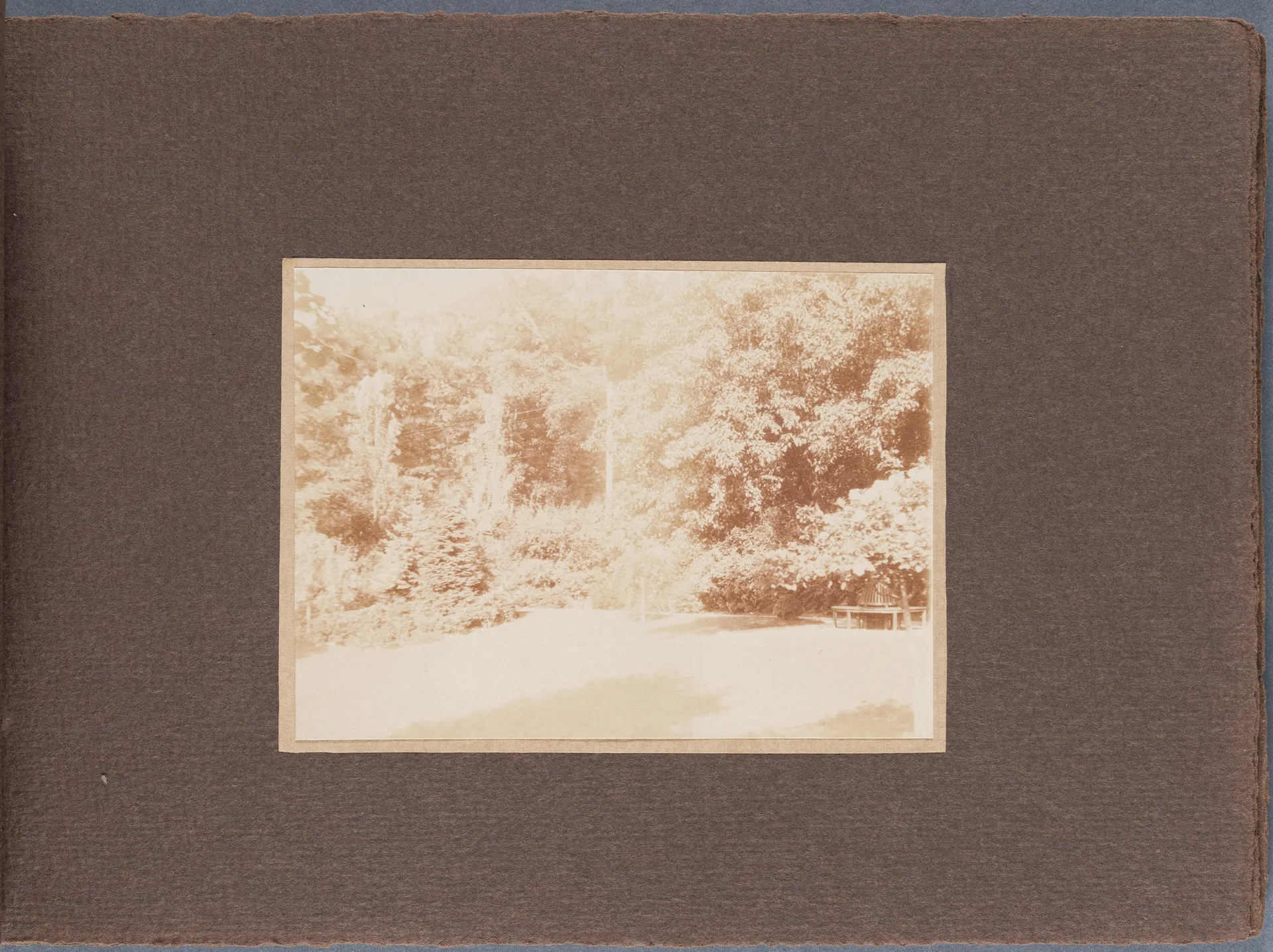 Fotoalbum: Hofheim Sommer 1913, Seite 3