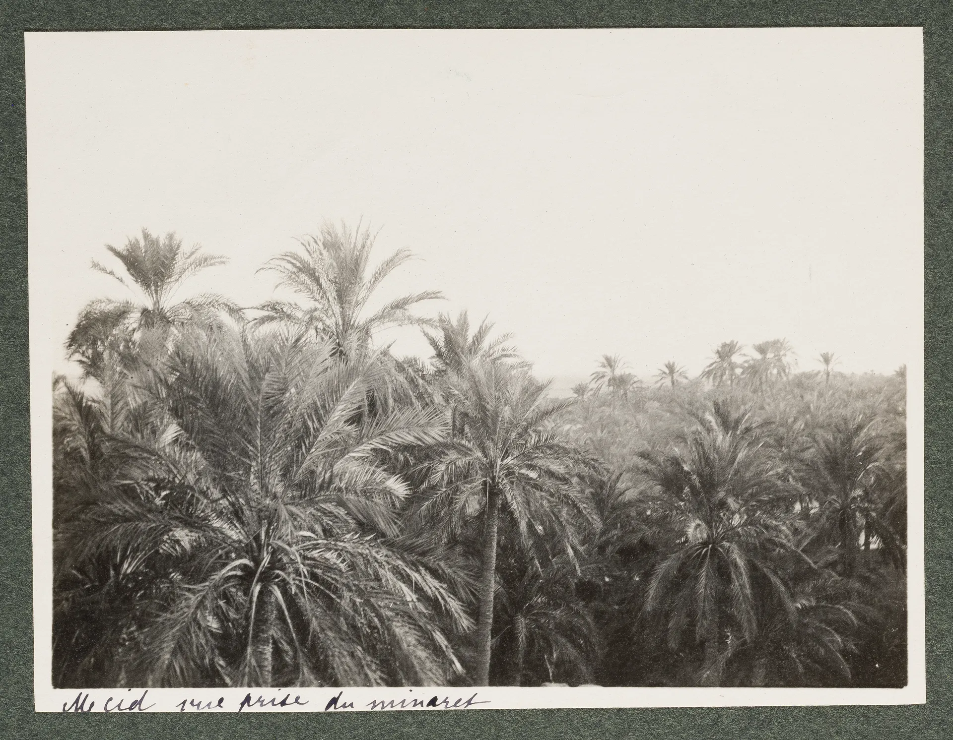 M'Cid, Biskra, Algerien, vom Minarett gesehen,