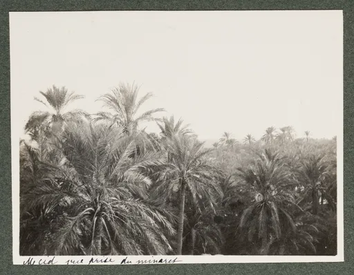 M'Cid, Biskra, Algerien, vom Minarett gesehen,