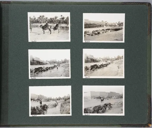 Fotoalbum Tunisie – Algérie, 22 Nov. – 22 Déc. 1913 (Bd. 1), Seite 41