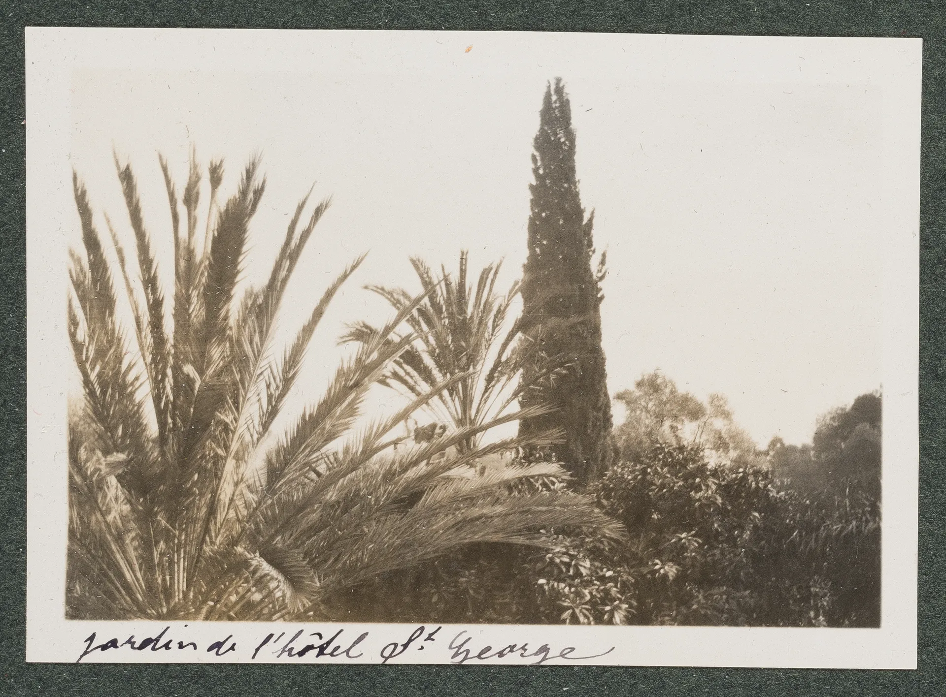 Garten des Hôtel Saint-George in Algier