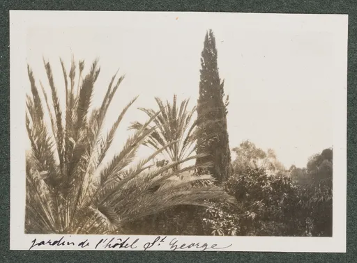 Garten des Hôtel Saint-George in Algier