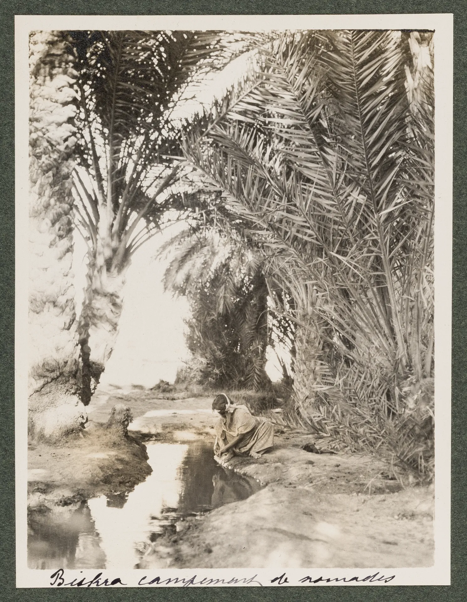 Nomadenlager in Biskra