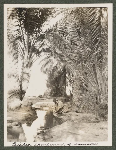 Nomadenlager in Biskra