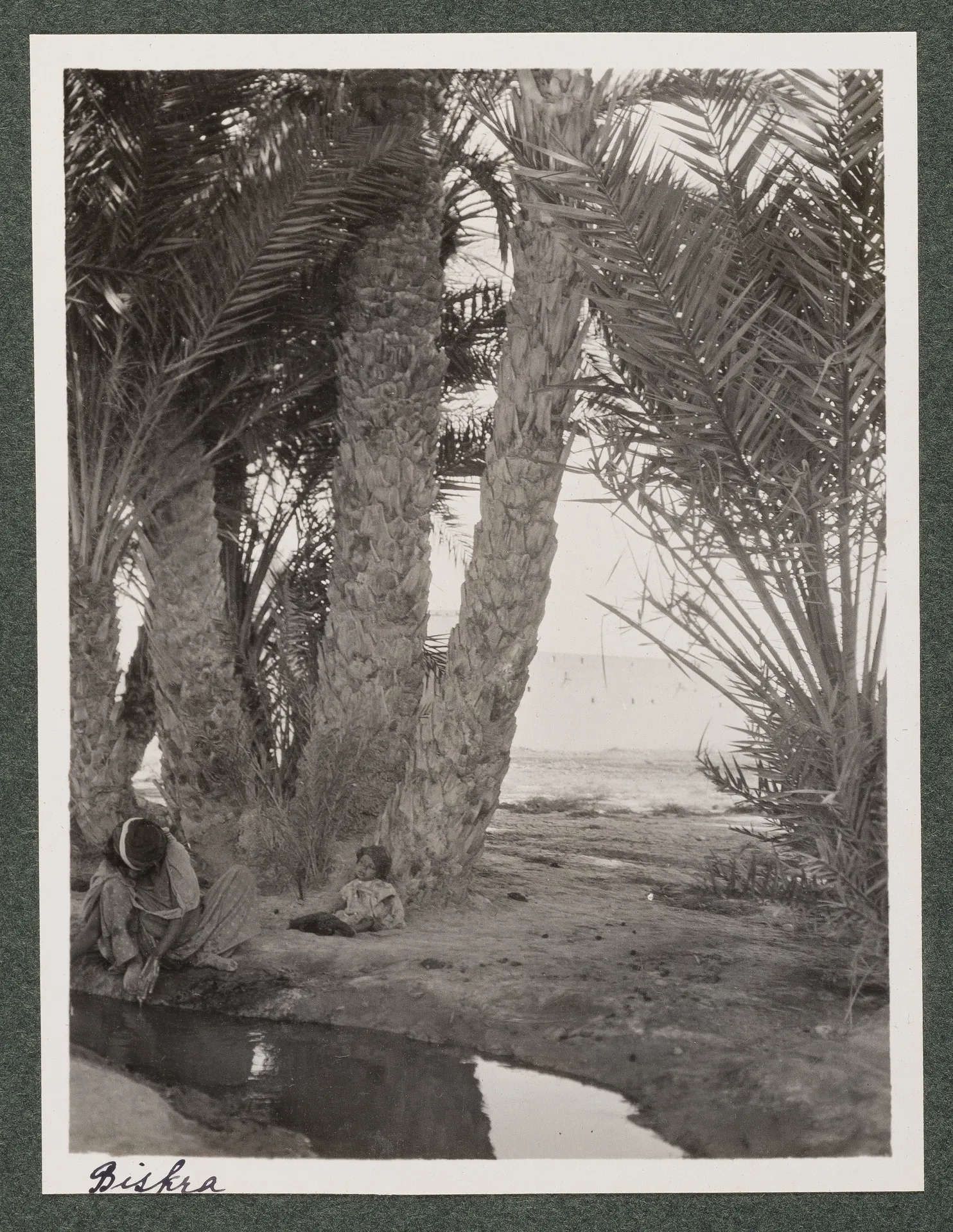 Nomadenlager in Biskra