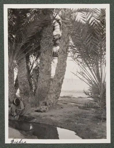 Nomadenlager in Biskra