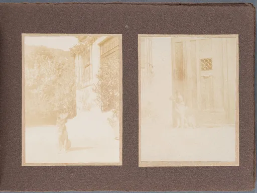 Fotoalbum: Hofheim Sommer 1913, Seite 2
