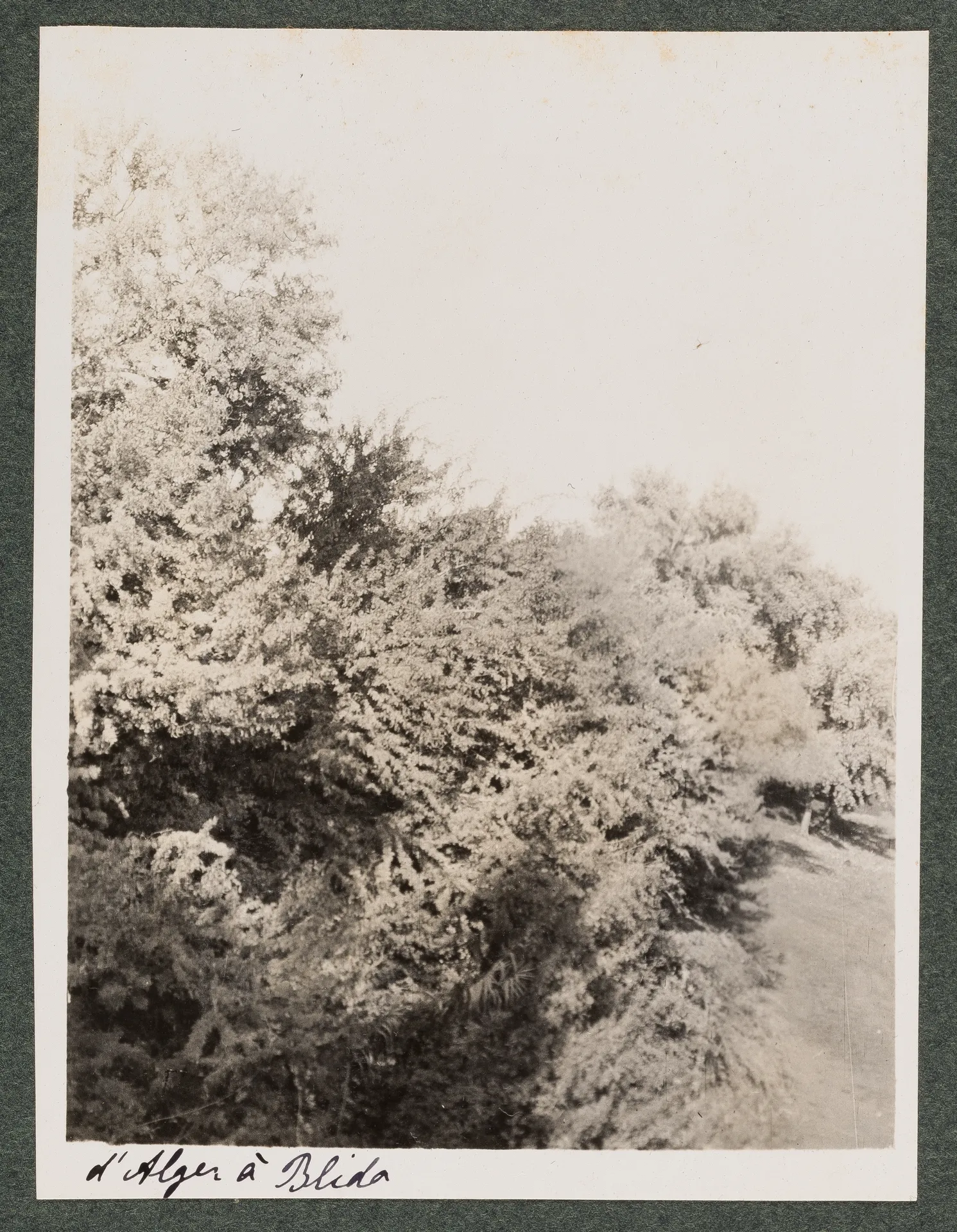 Landschaft zwischen Algier und Blida