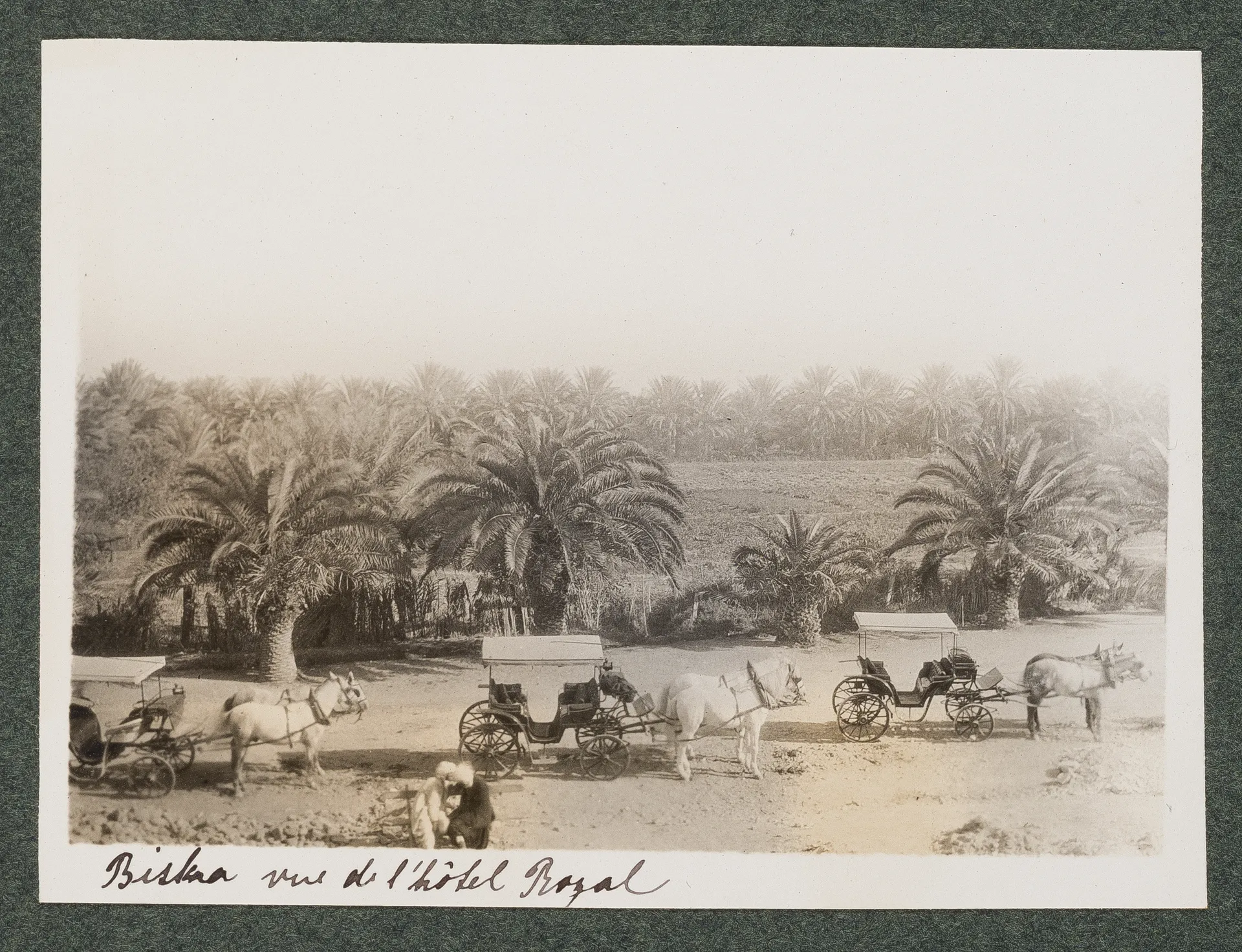 Biskra, Blick vom Hôtel Royal