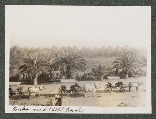 Biskra, Blick vom Hôtel Royal