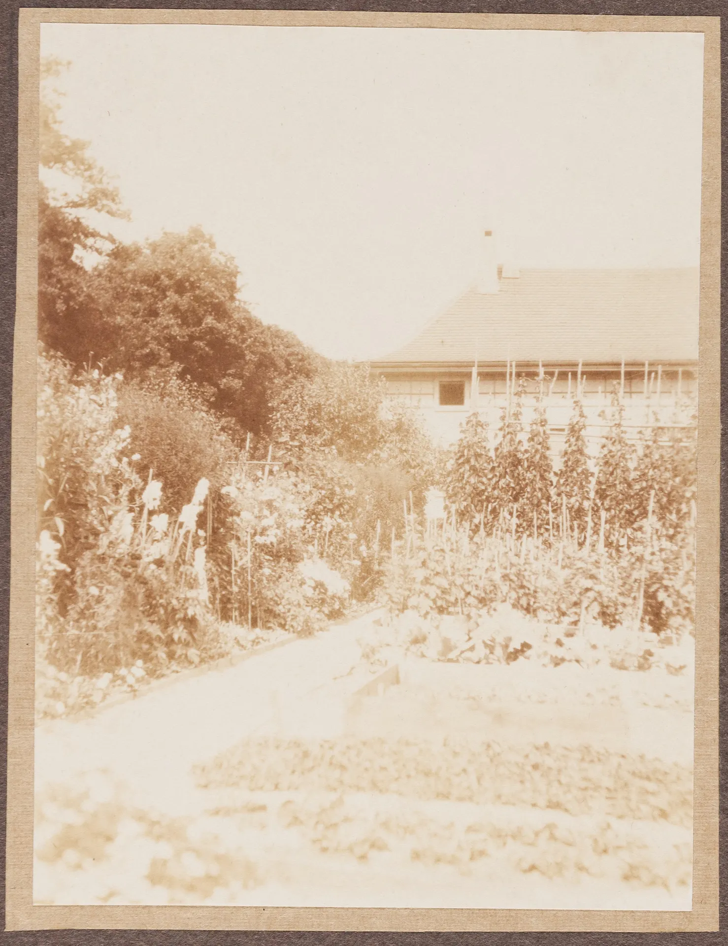 Garten von Ottilie W. Roederstein und Elisabeth H. Winterhalter, Hofheim am Taunus