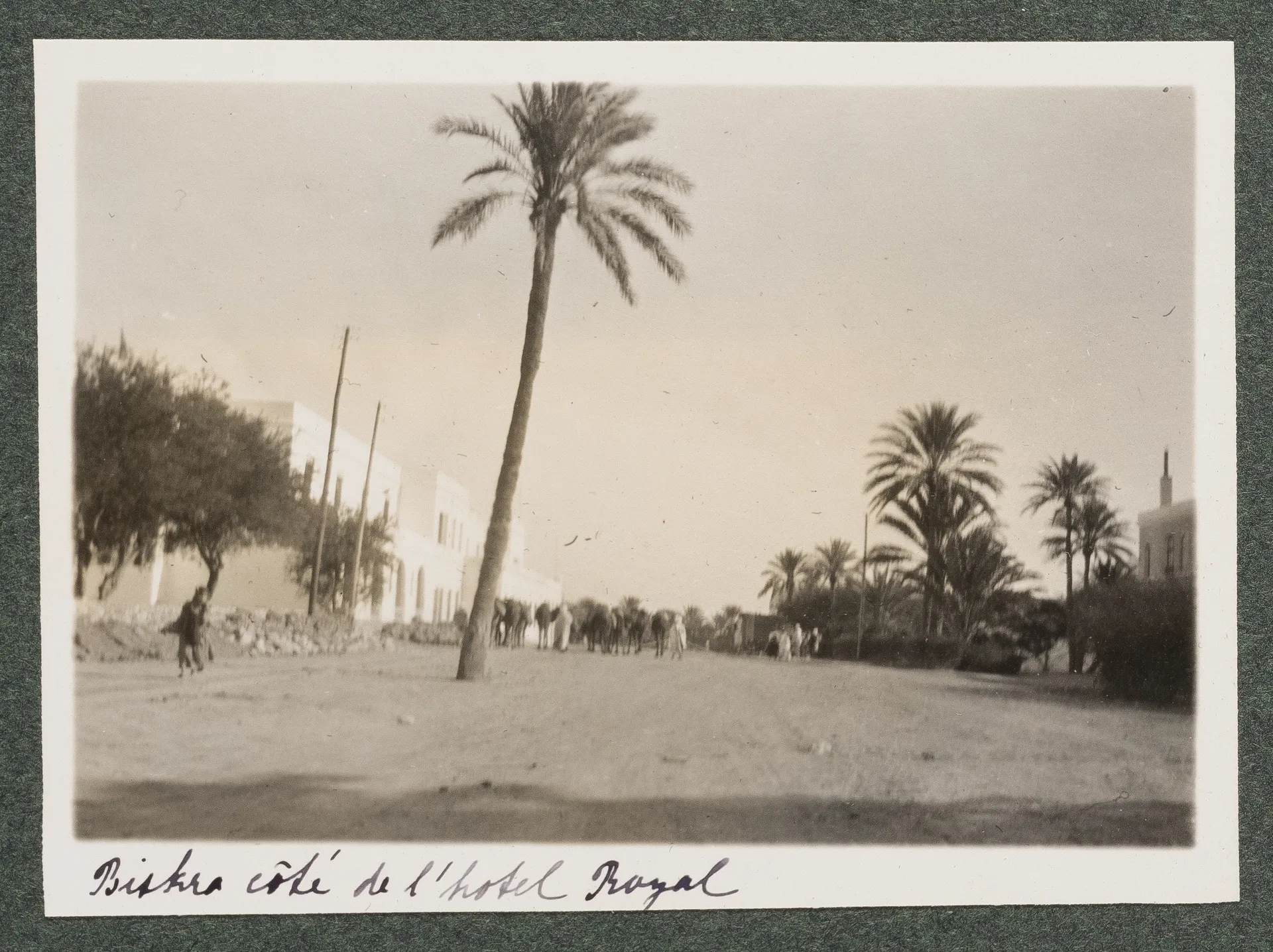 Beim Hôtel Royal, Biskra