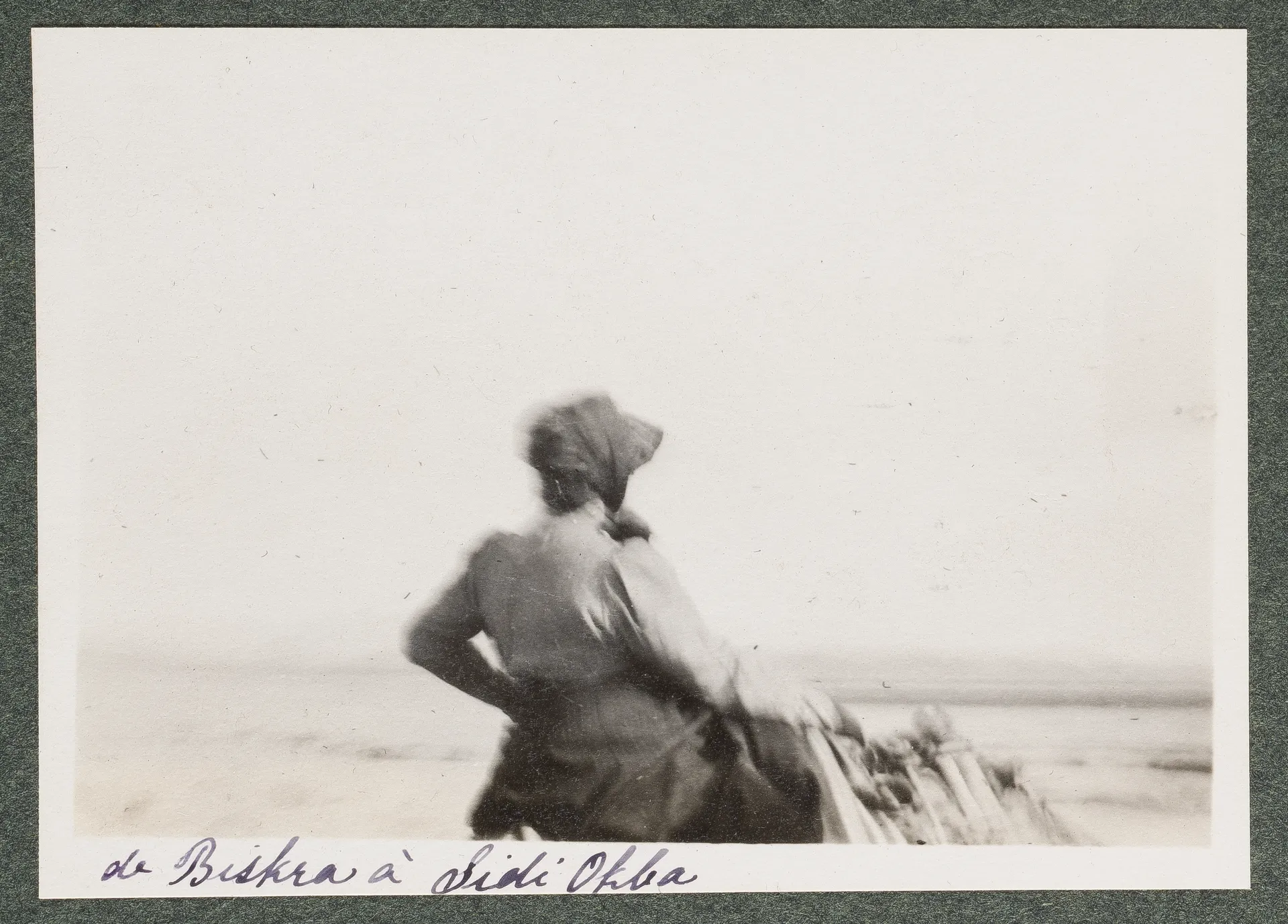 Elisabeth H. Winterhalter auf einem Dromedar in der Wüste zwischen Biskra und Sidi Okba