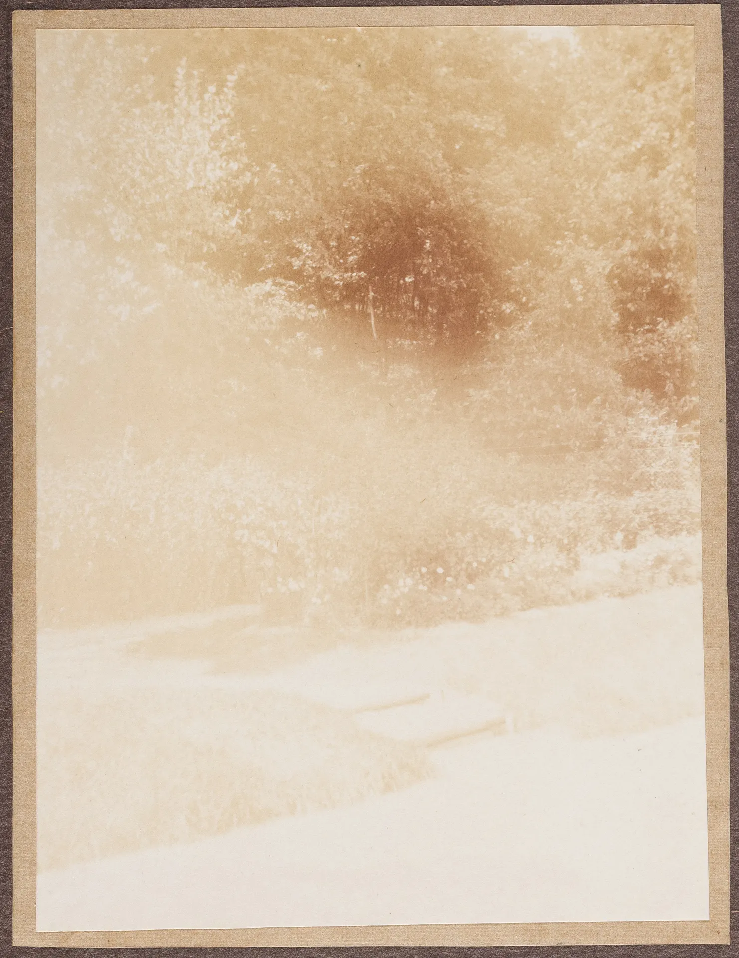 Garten von Ottilie W. Roederstein und Elisabeth H. Winterhalter, Hofheim am Taunus