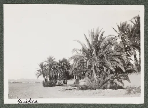 Landschaft in Biskra
