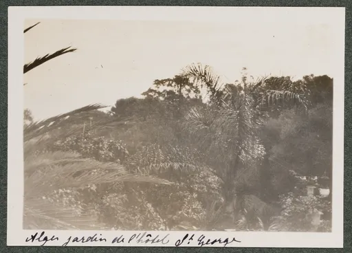 Garten des Hôtel Saint-George in Algier