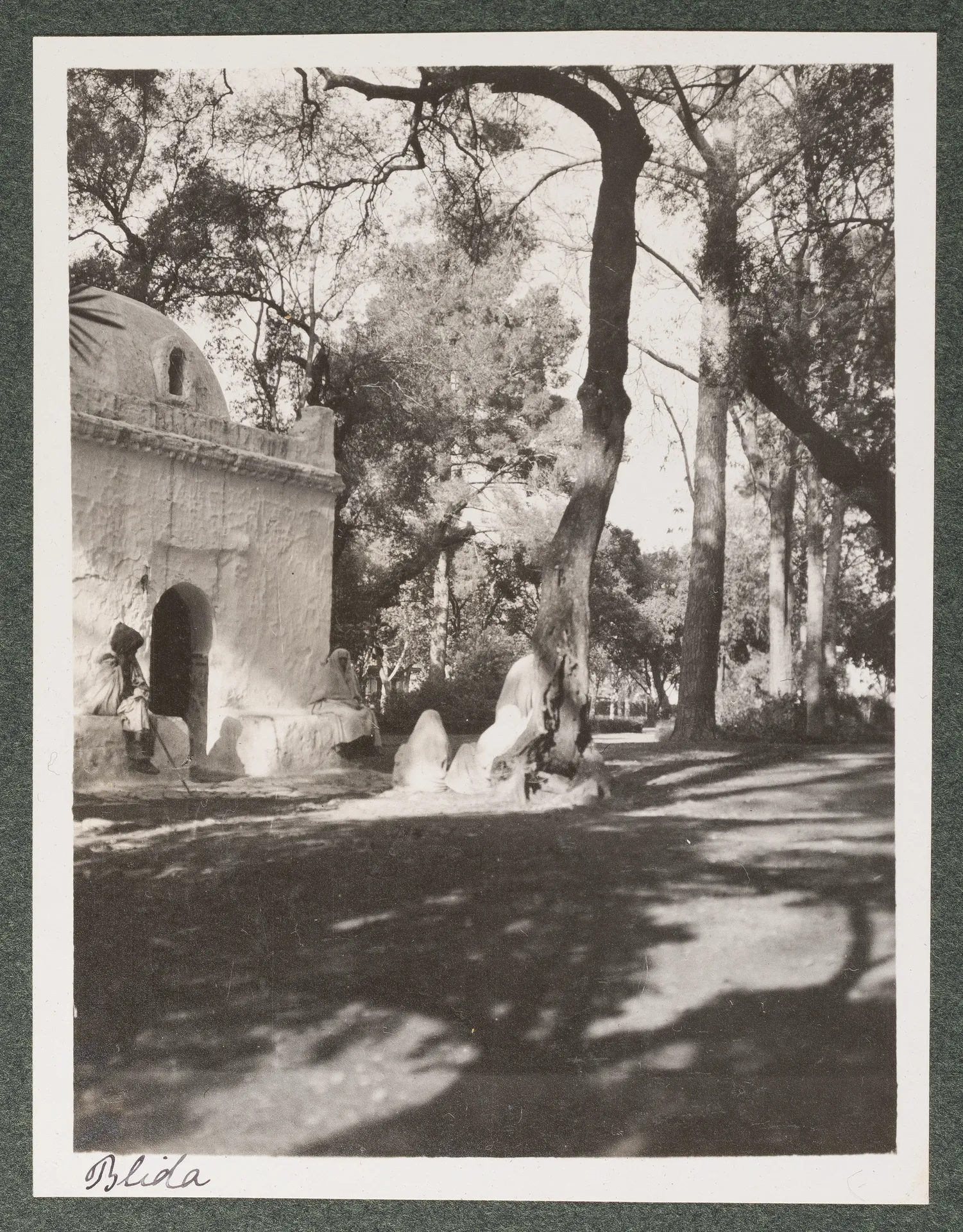 Der Marabout von Sidi Yacoub im heiligen Gehölz in Blida