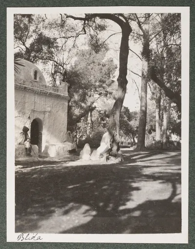 Der Marabout von Sidi Yacoub im heiligen Gehölz in Blida