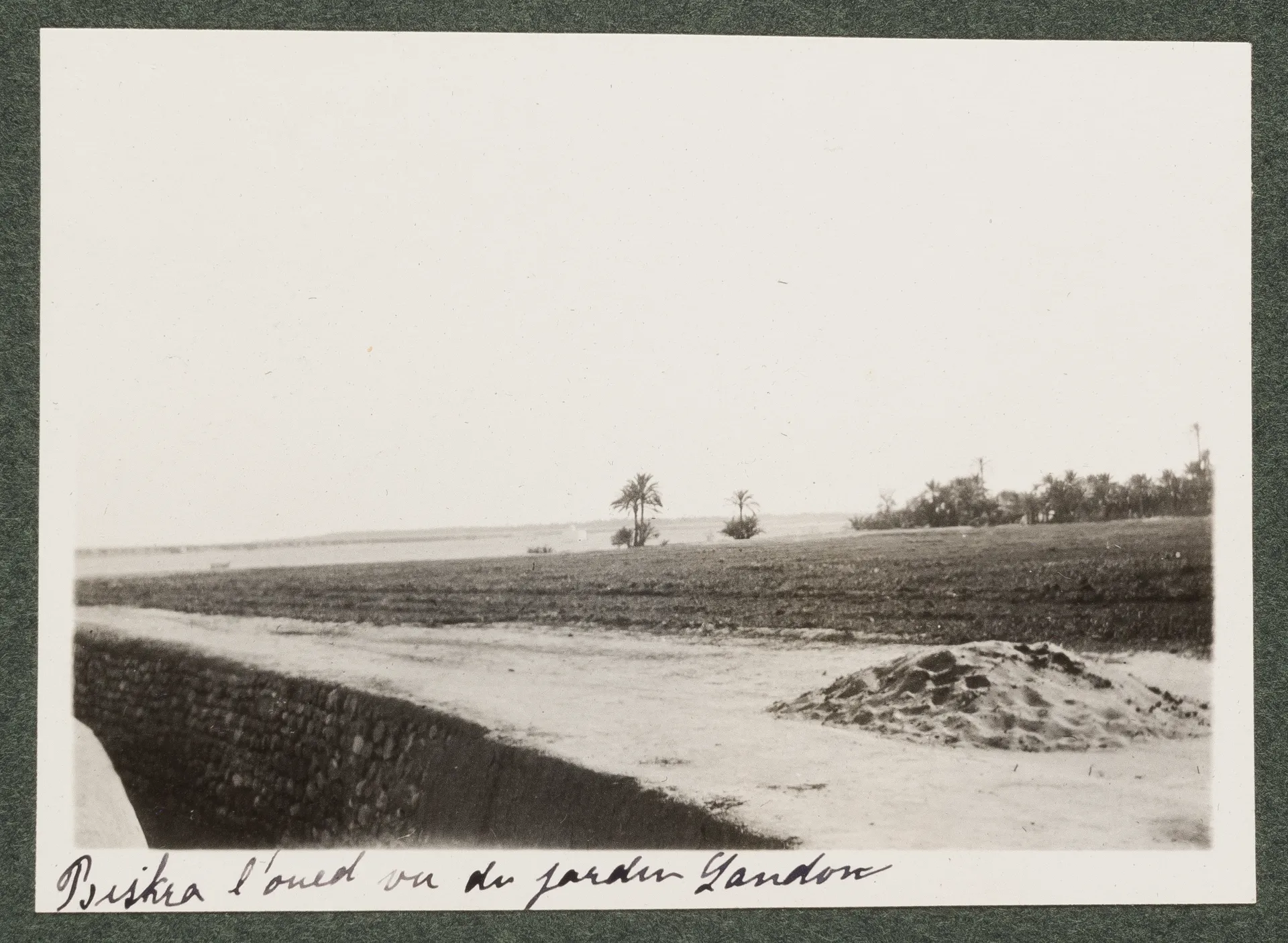 Der Oued Sidi Zarzour vom Landon Garten ausgesehen, Biskra