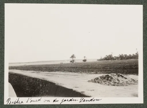 Der Oued Sidi Zarzour vom Landon Garten ausgesehen, Biskra