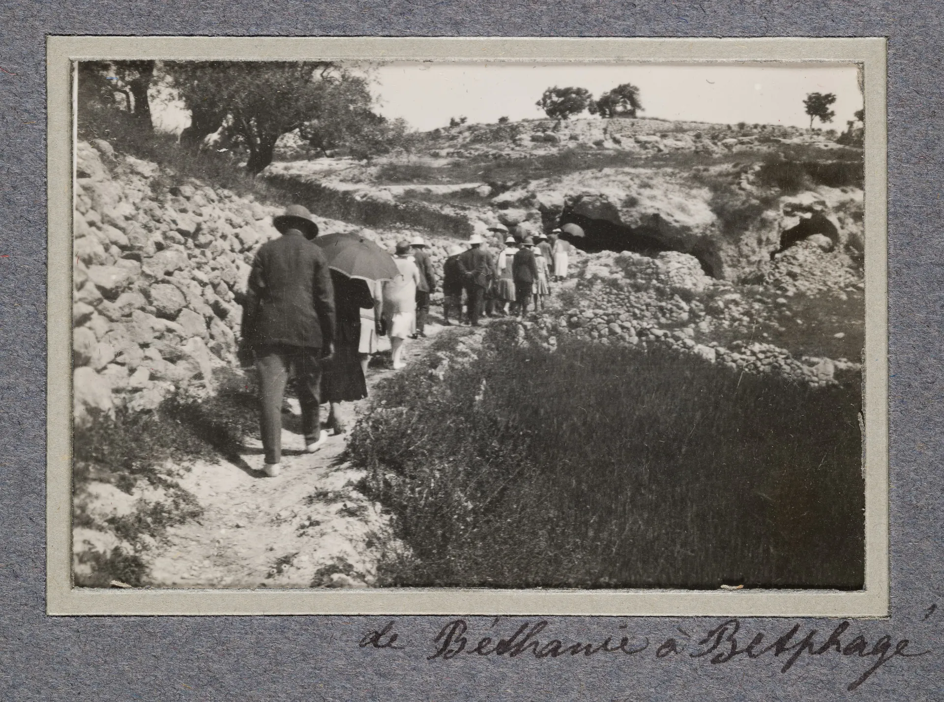 Zwischen Bethanien und Betfage
