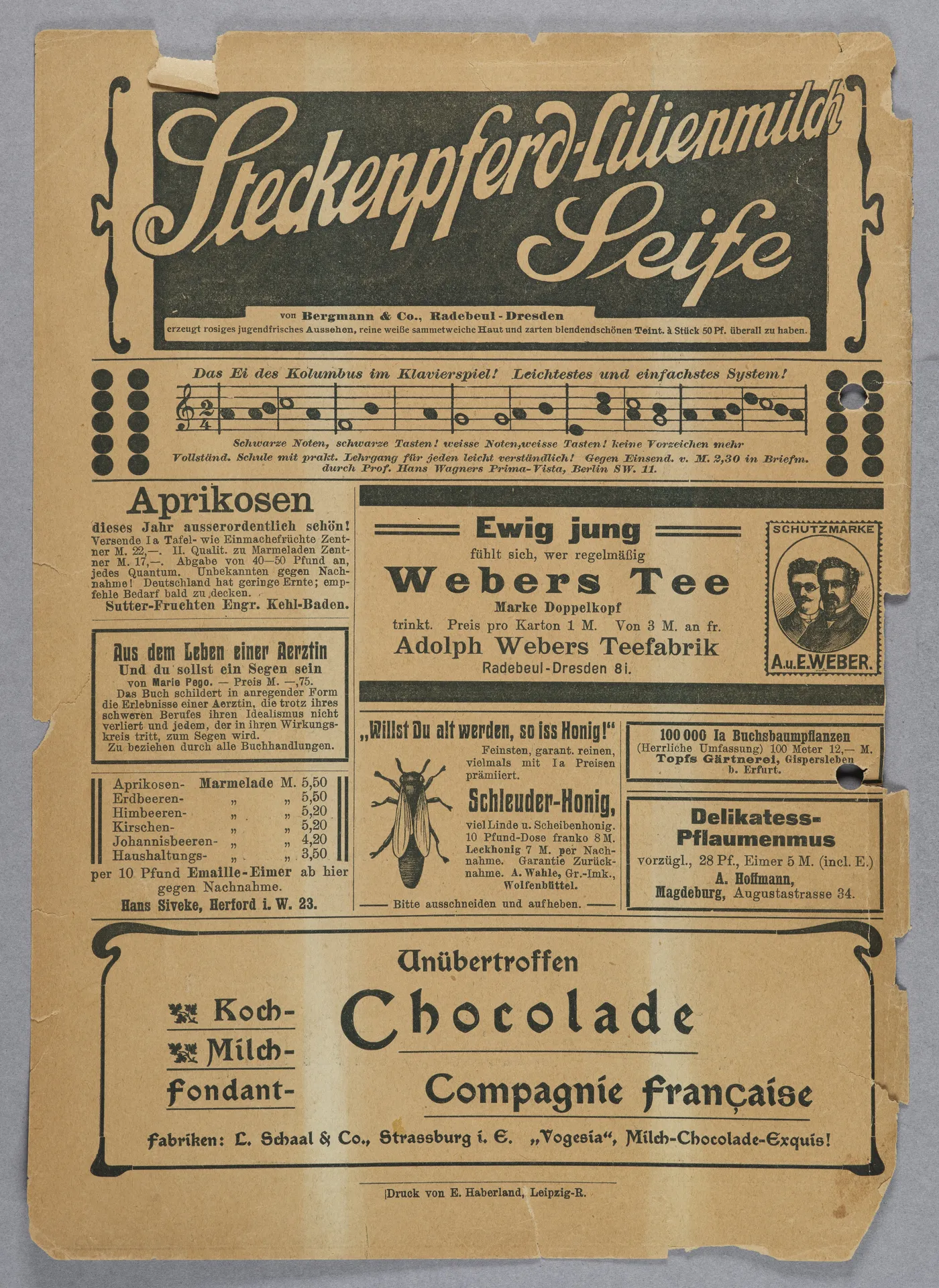 Elisabeth Mentzel und Julia Virginia Laengsdorff, Frankfurt a. M. und seine Frauen, in: Frauen-Rundschau, Jahrgang 8, Heft 14 [1907]