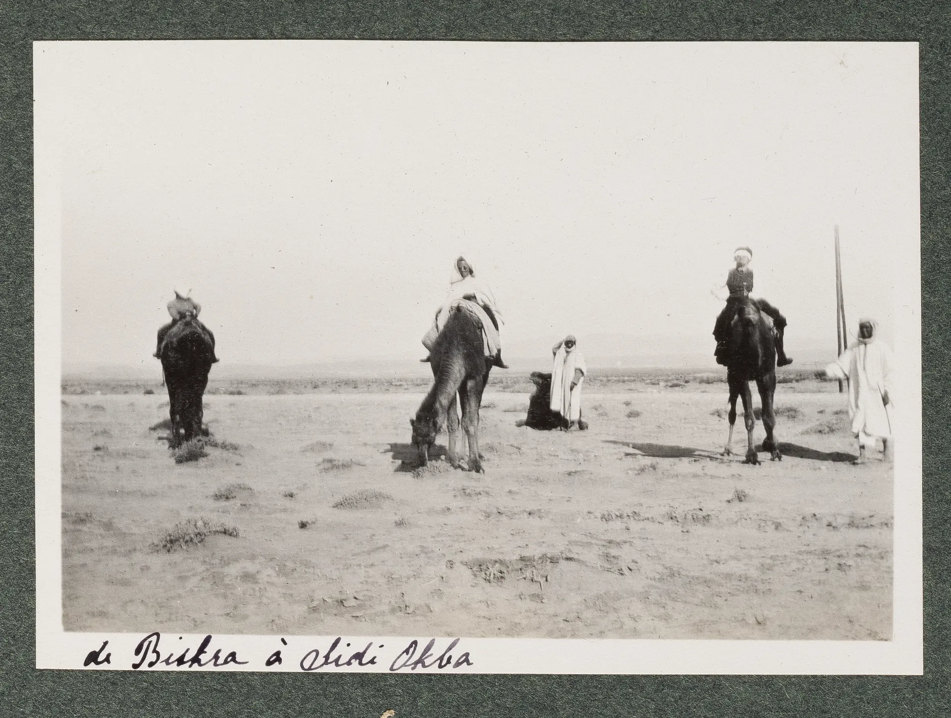 Elisabeth H. Winterhalter und Ottilie W. Roederstein auf Dromedare mit drei Reiseführern in der Wüste zwischen Biskra und Sidi Okba