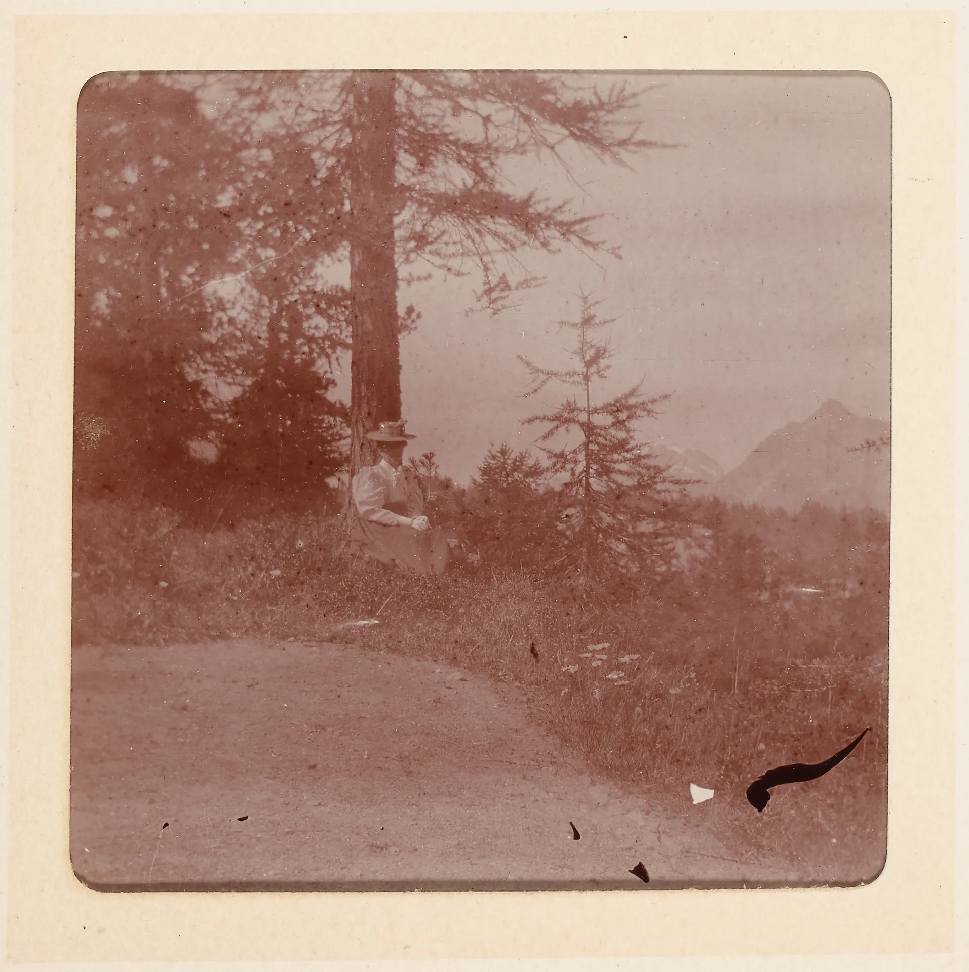 Elisabeth H. Winterhalter bei einem Baum sitzend