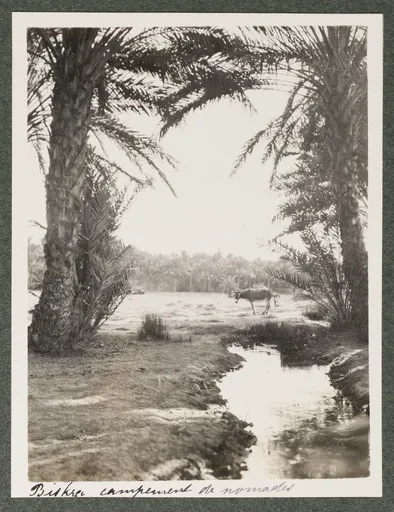 Nomadenlager in Biskra