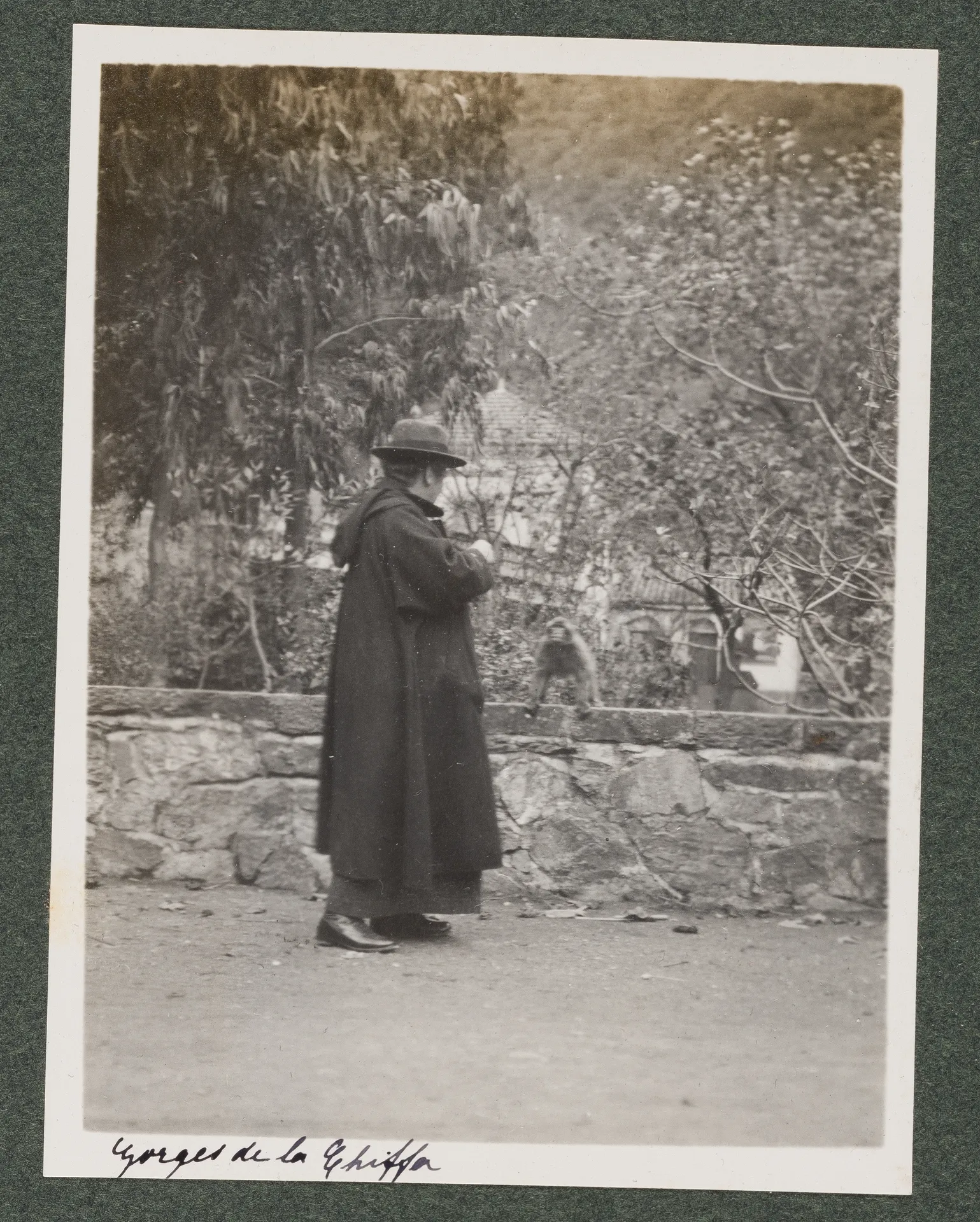 Ottilie W. Roederstein beim Affenfüttern in den Gorges de la Chiffa