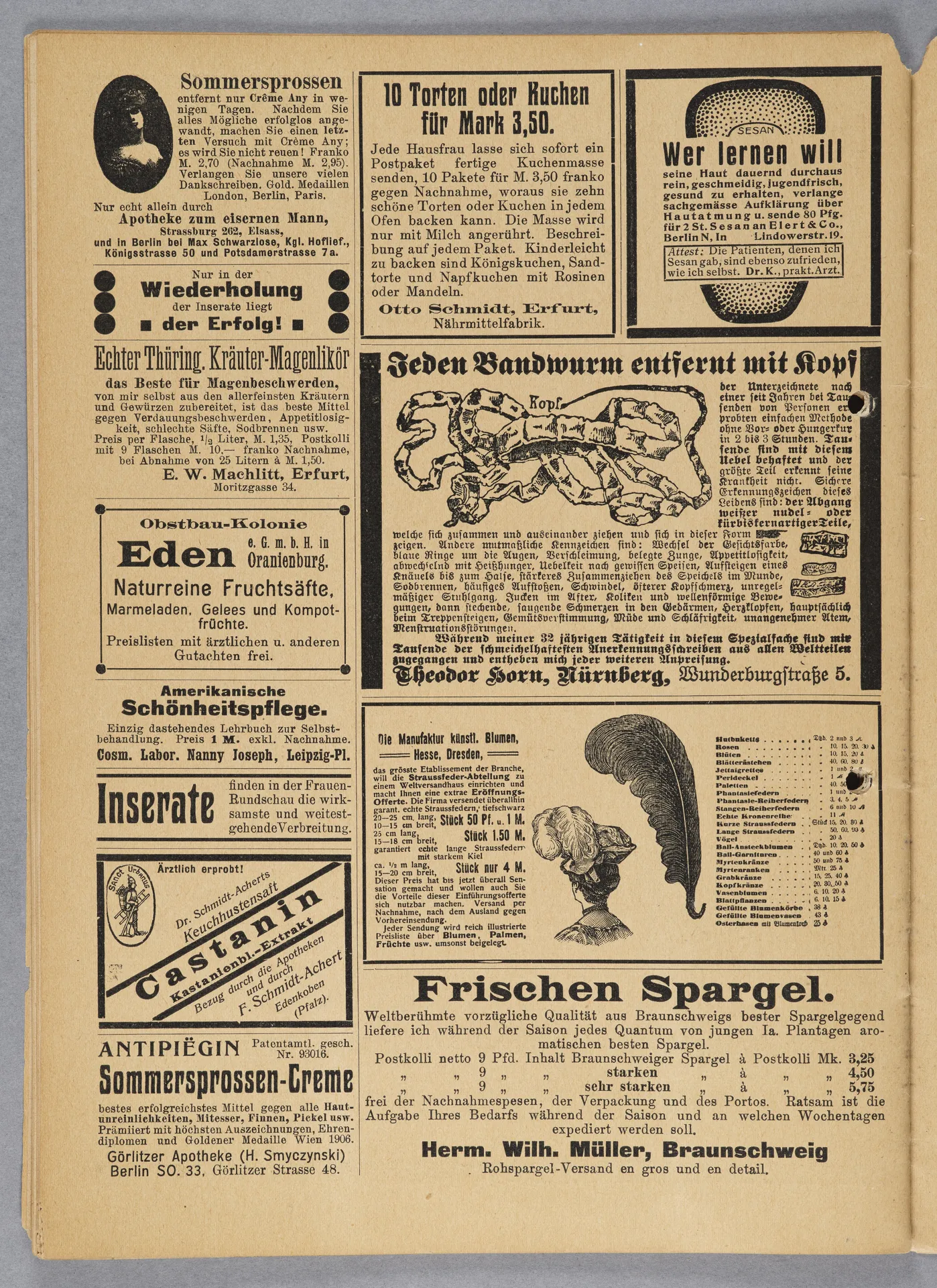 Elisabeth Mentzel und Julia Virginia Laengsdorff, Frankfurt a. M. und seine Frauen, in: Frauen-Rundschau, Jahrgang 8, Heft 14 [1907]