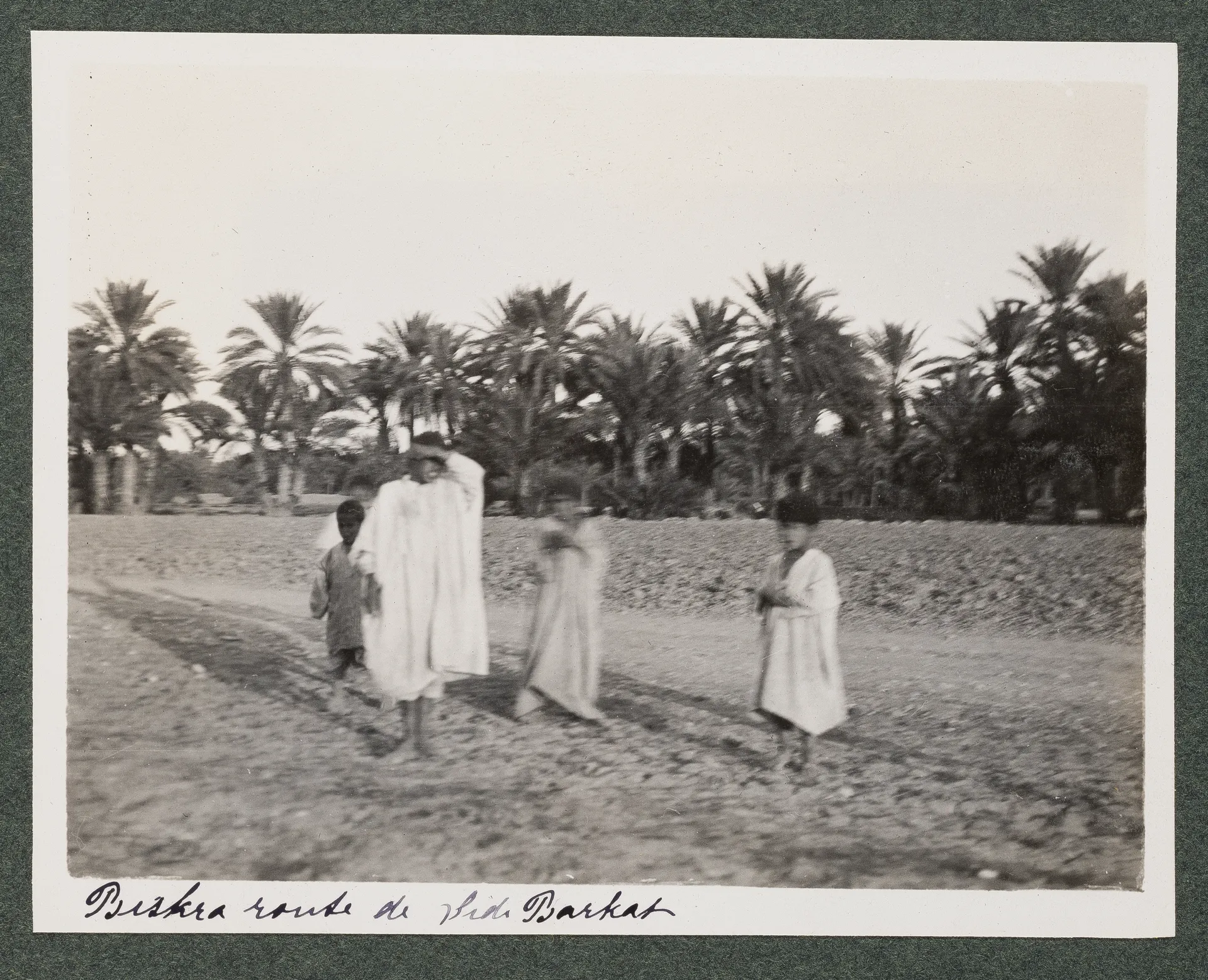 Biskra, Weg nach Sidi Barkat