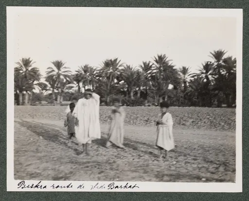 Biskra, Weg nach Sidi Barkat